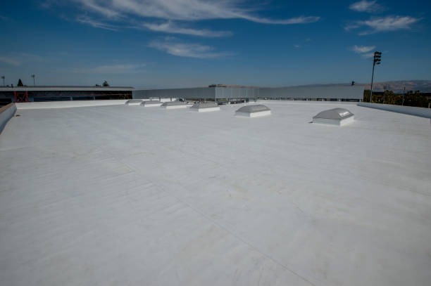 Roof Coating Services in Norwich, NY