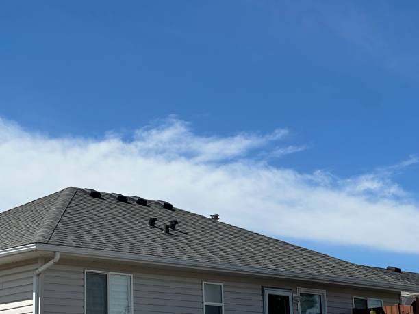 Best Wood Shake Roofing  in Norwich, NY